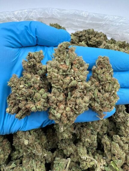 Gas face Strain