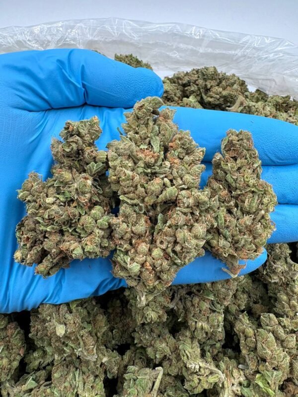 Gas face Strain Gas face Strain