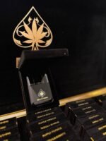 Ace Ultra premium 4gram disposable